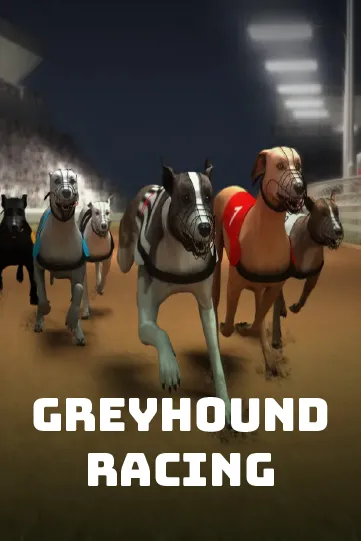 greyhound racing.webp